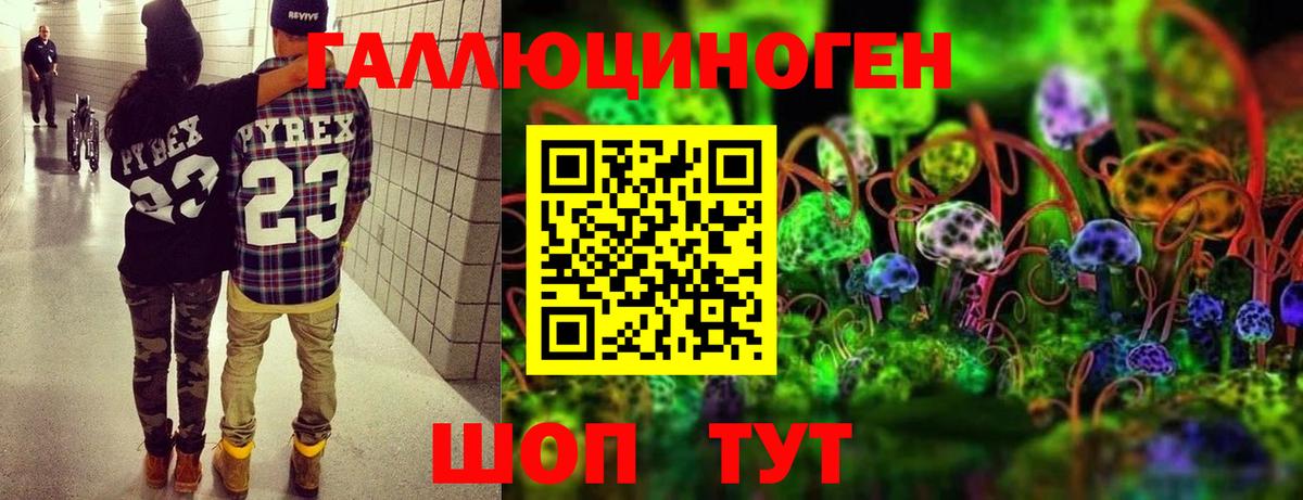 Крымск  Псилоцибиновые грибы Magic Shrooms  Псилоцибиновые грибы ЛСД  Вход с VPN 
