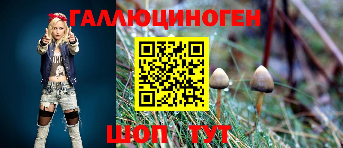 Псилоцибиновые грибы GOLDEN TEACHER Крымск